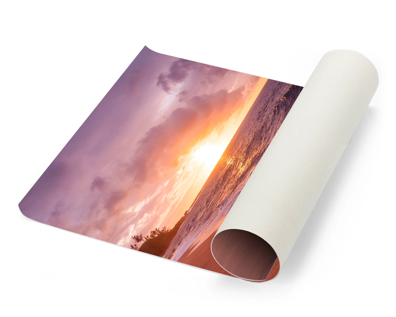 Photo Canvas Roll